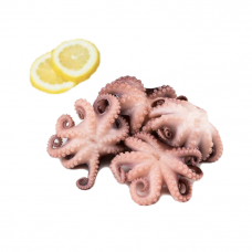 Frozen Octopus in Bulk（about3.7-4.2lb）